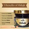 Aeigis Shilajit